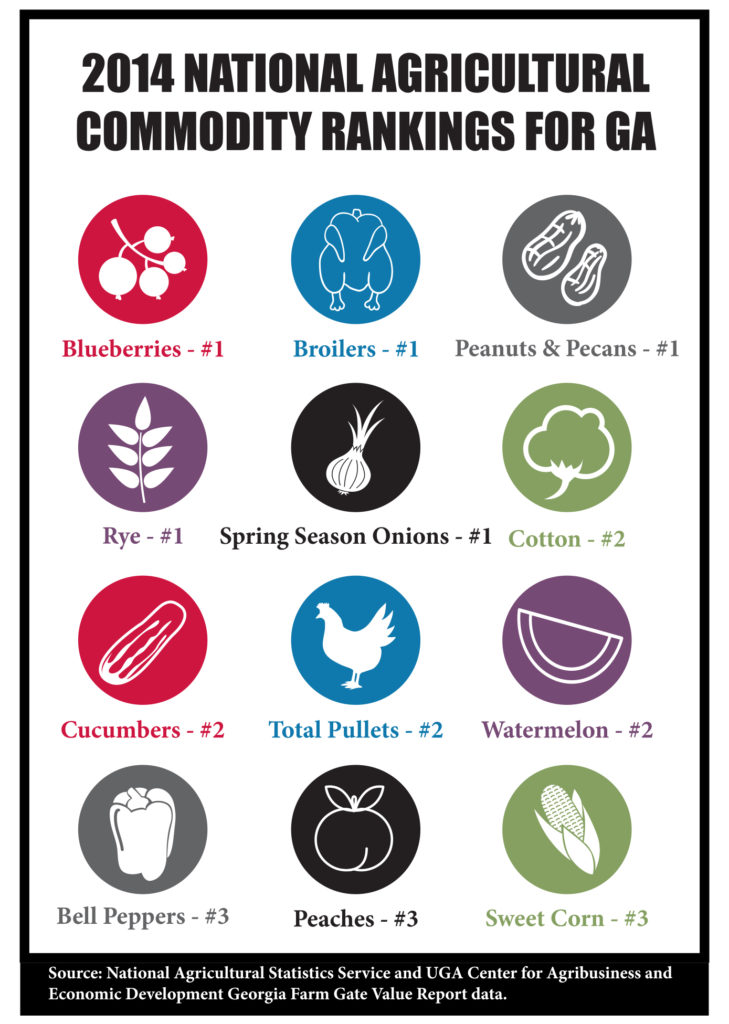 Importance of Agriculture in University of Small